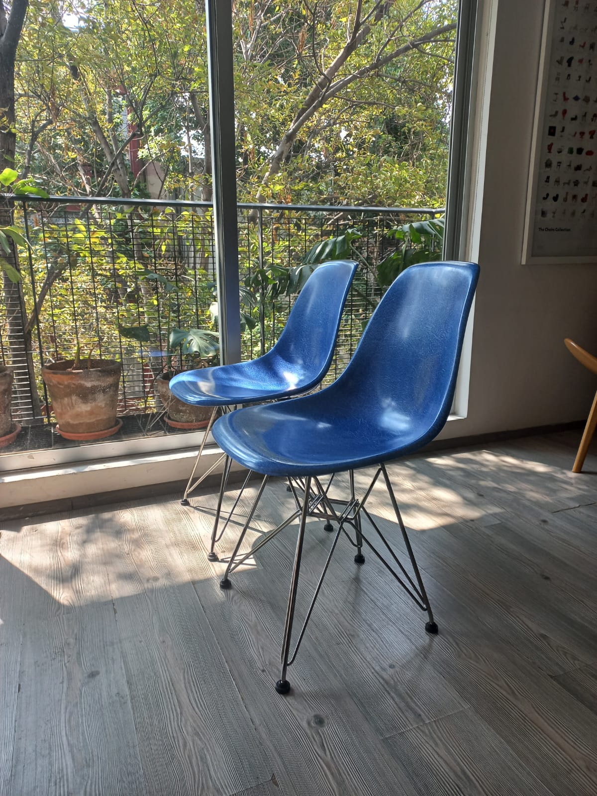 Eames Fiberglass  Wire Side Chair Herman Miller
